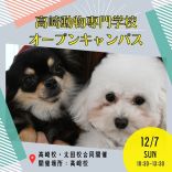 高崎動物専門学校のオープンキャンパス