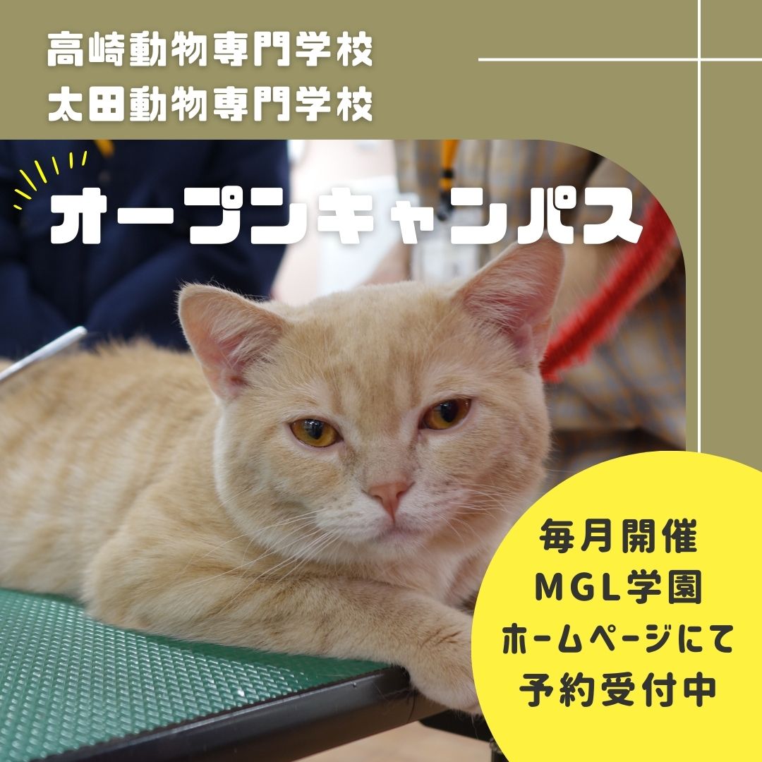 高崎動物専門学校