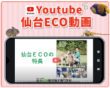 仙台ＥＣＯ動物海洋専門学校のcampusgallery