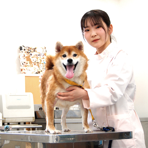 愛知ペット専門学校のオープンキャンパス