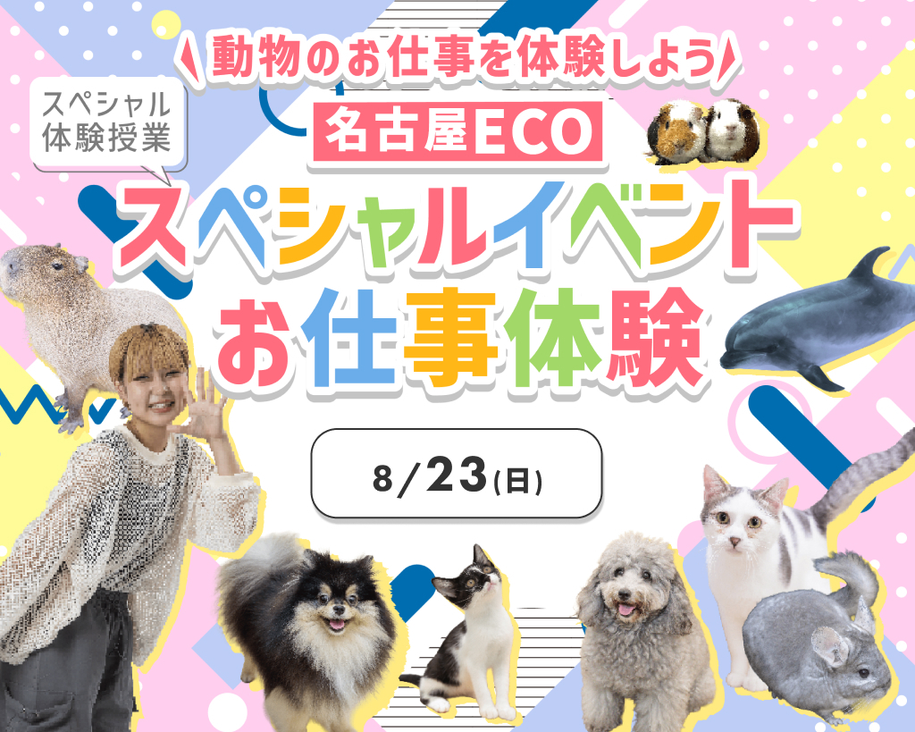 名古屋ＥＣＯ動物海洋専門学校のcampusgallery