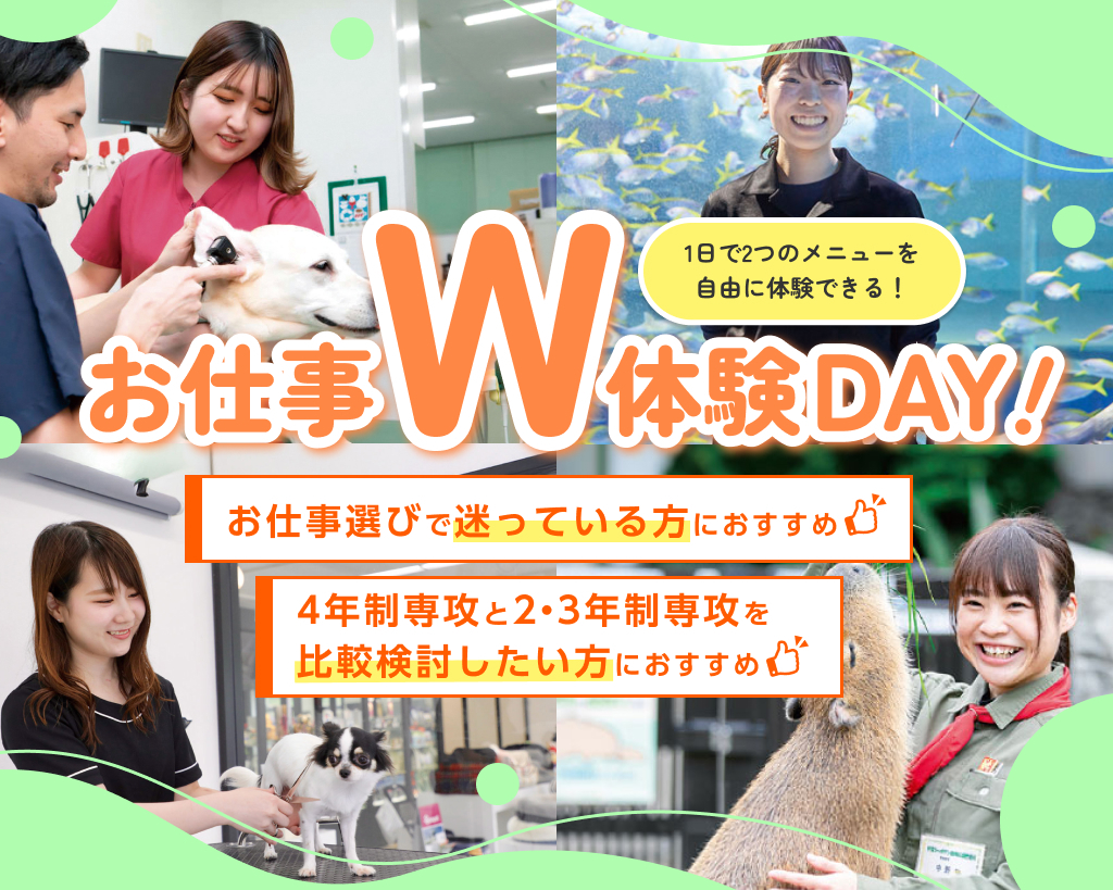 名古屋ＥＣＯ動物海洋専門学校のオープンキャンパス