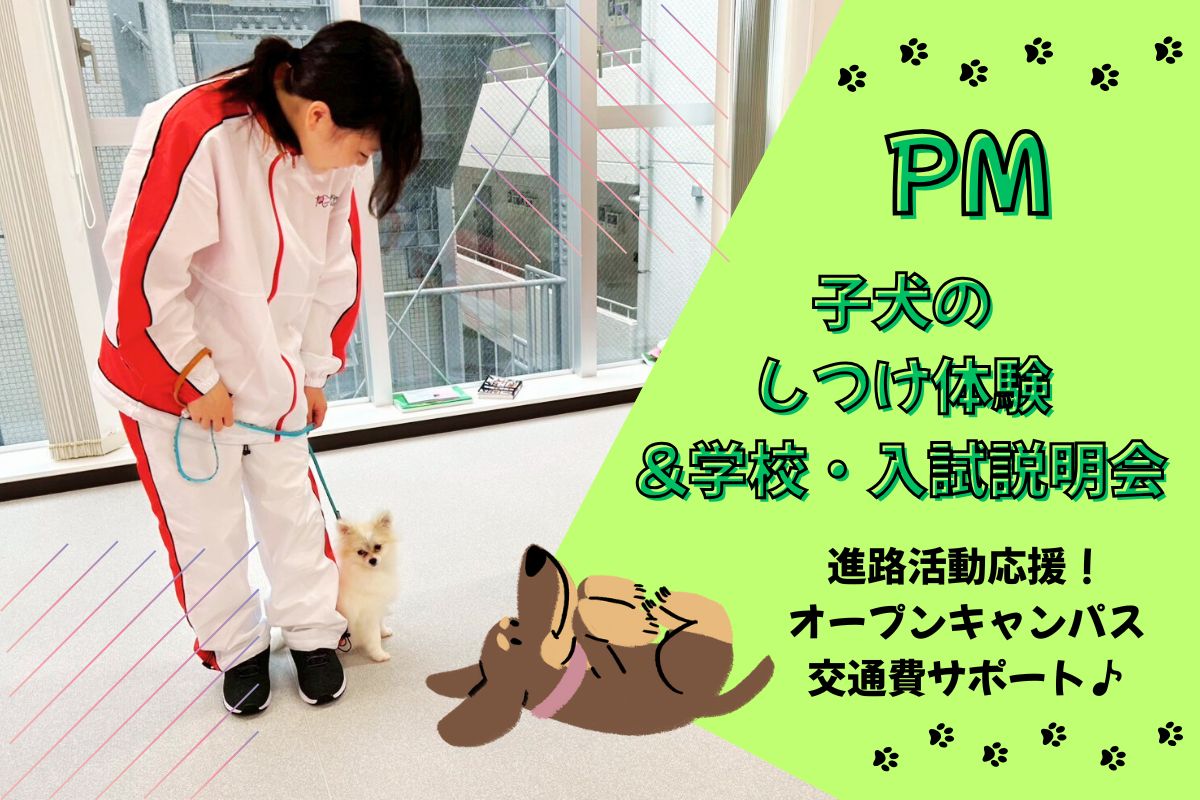 横浜動物専門学校のcampusgallery