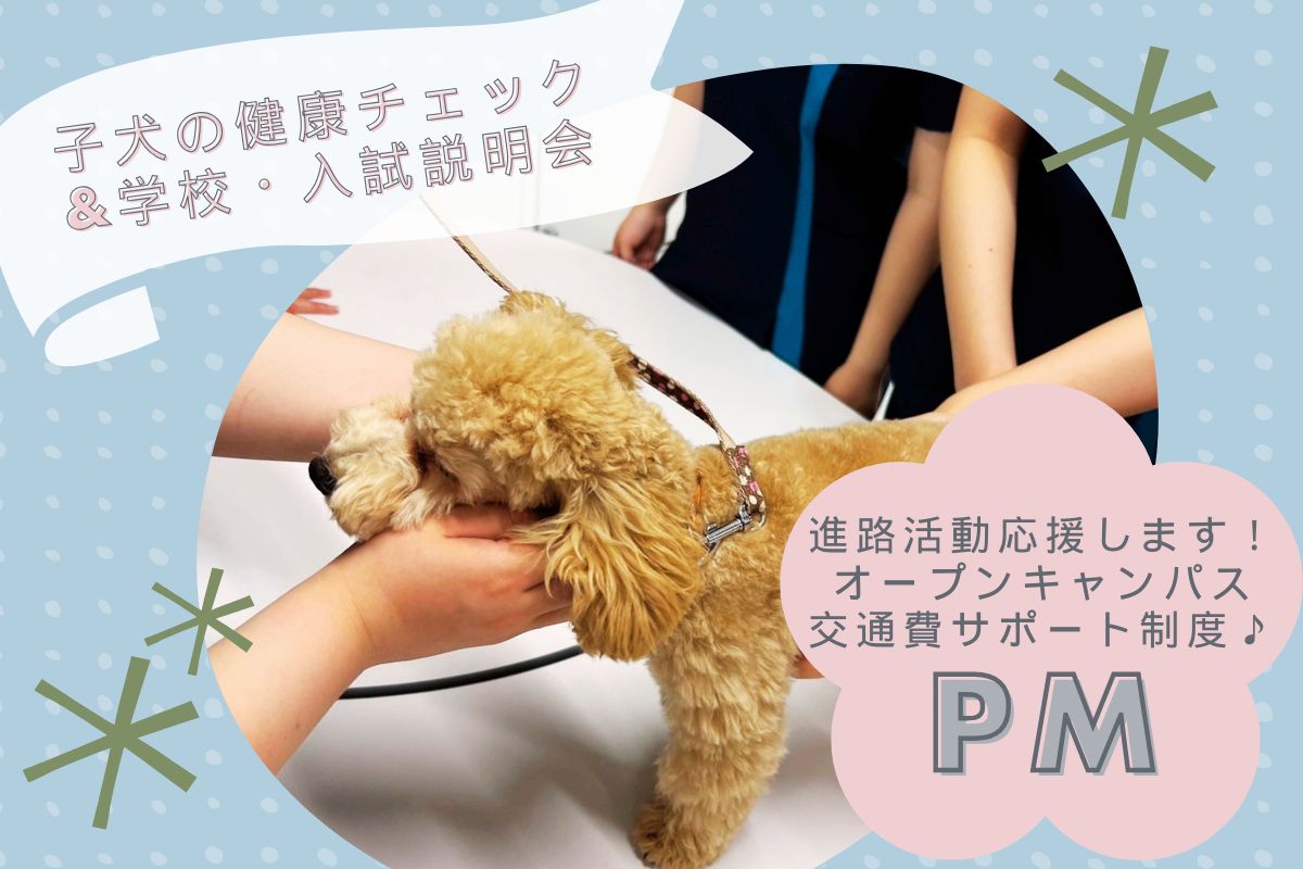 横浜動物専門学校のcampusgallery