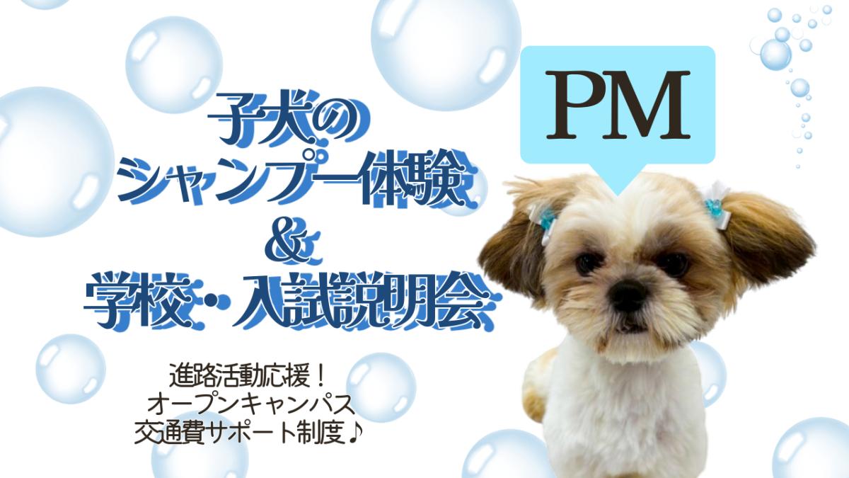 横浜動物専門学校のオープンキャンパス