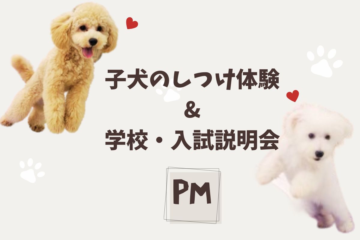 横浜動物専門学校