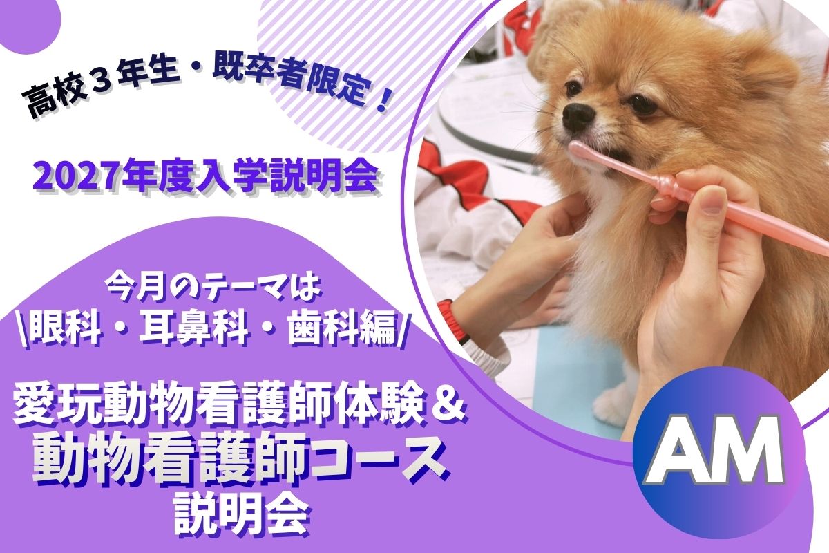 横浜動物専門学校のcampusgallery