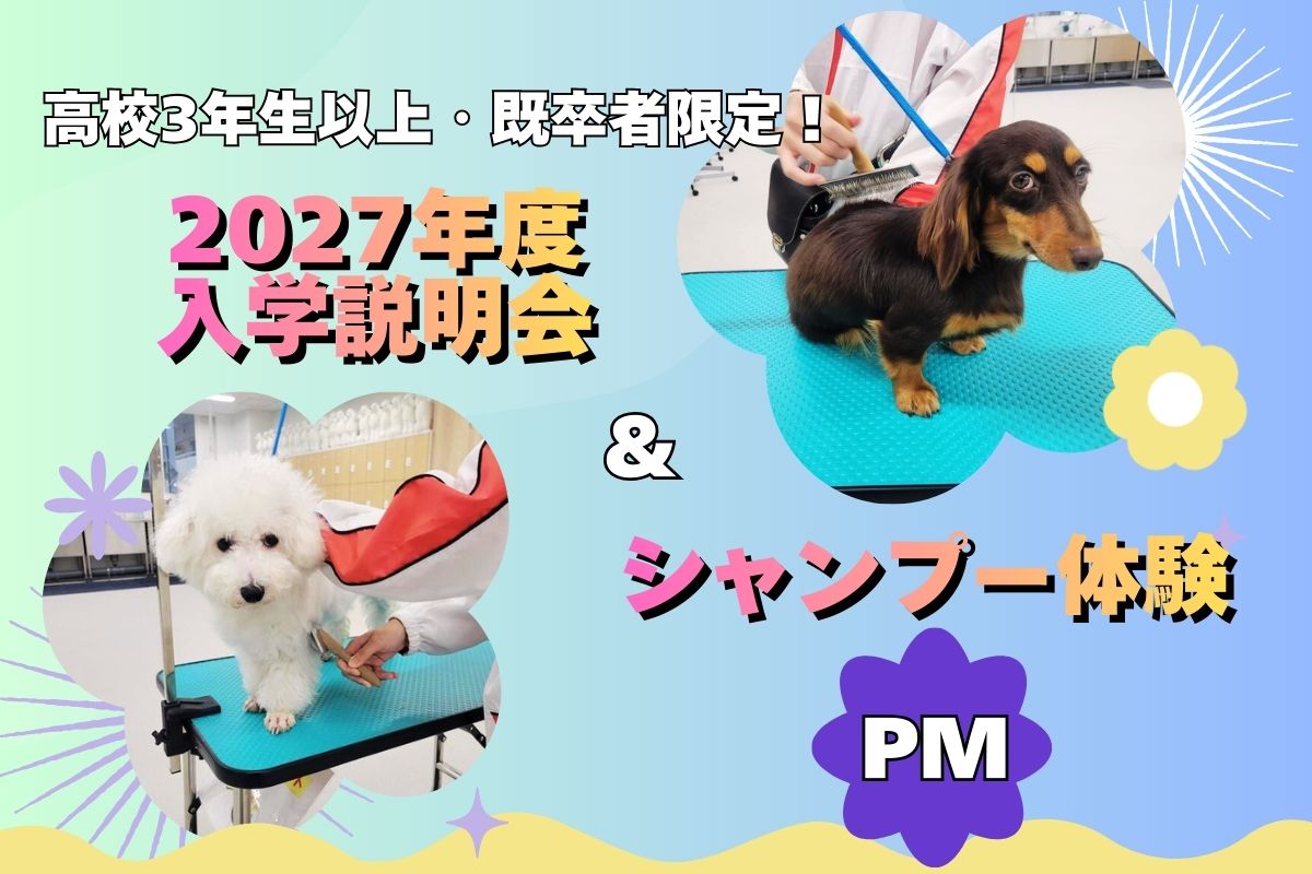 横浜動物専門学校のcampusgallery