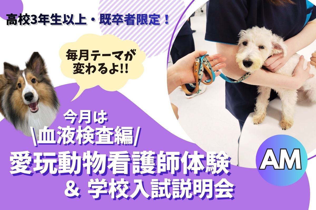 横浜動物専門学校のオープンキャンパス