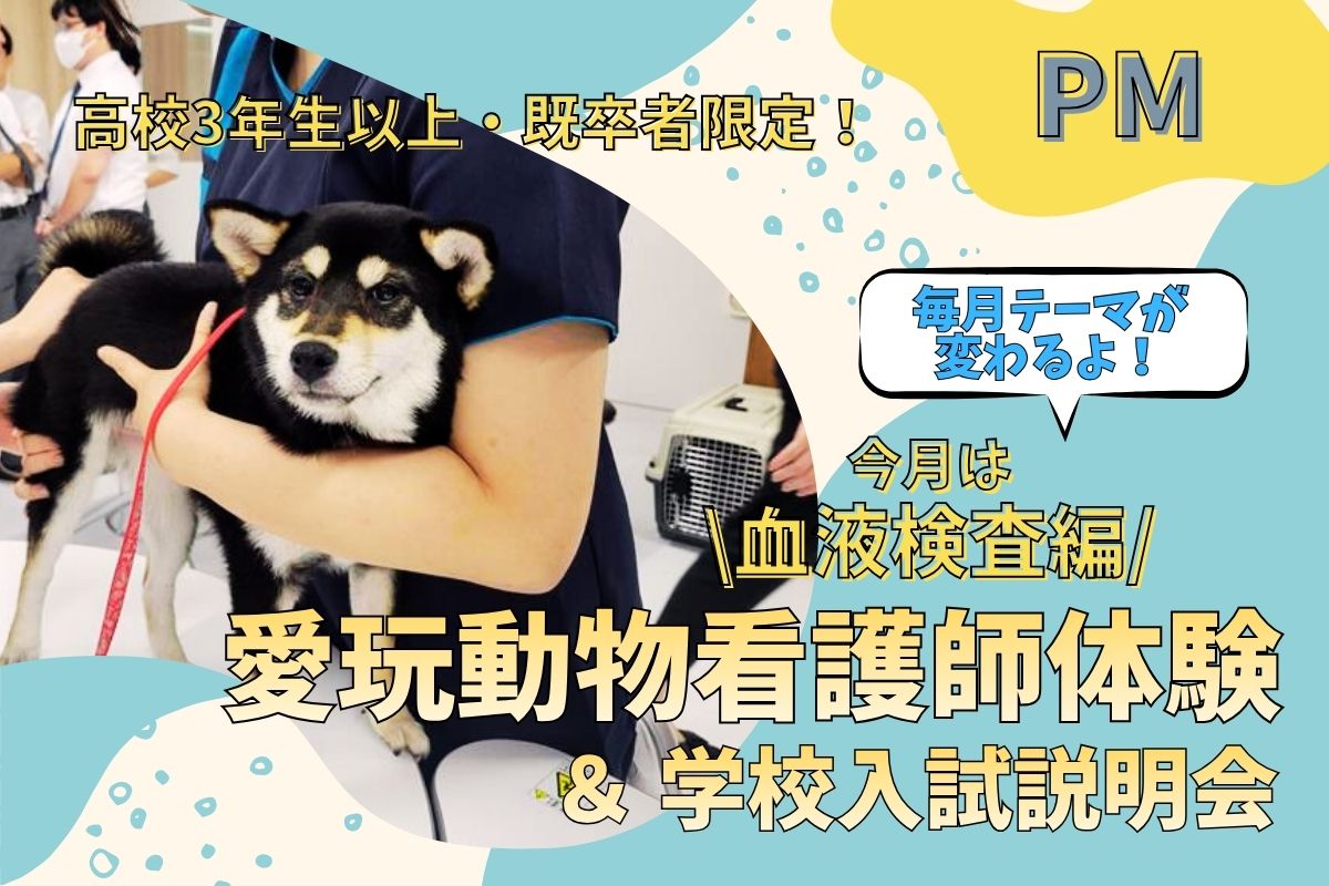 横浜動物専門学校のオープンキャンパス
