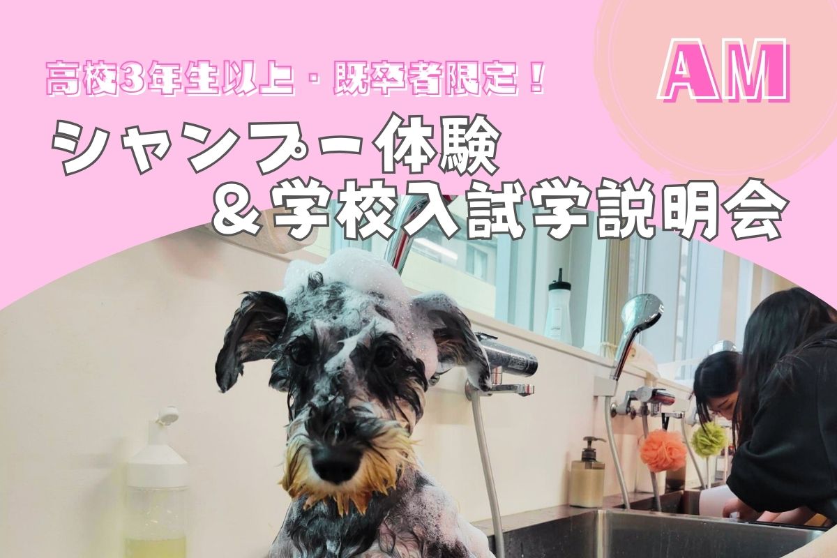横浜動物専門学校のオープンキャンパス