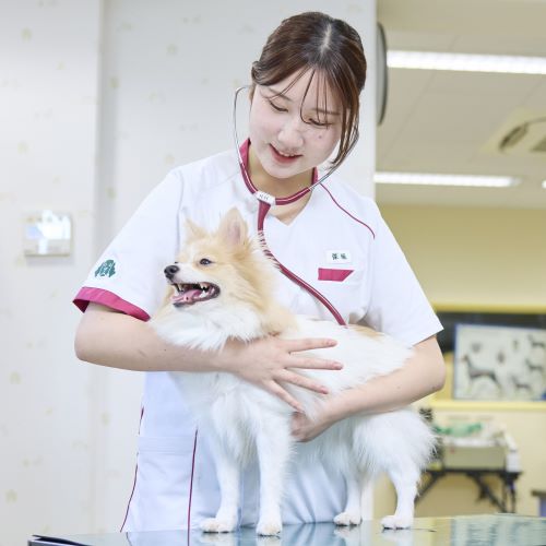 大宮国際動物専門学校のオープンキャンパス