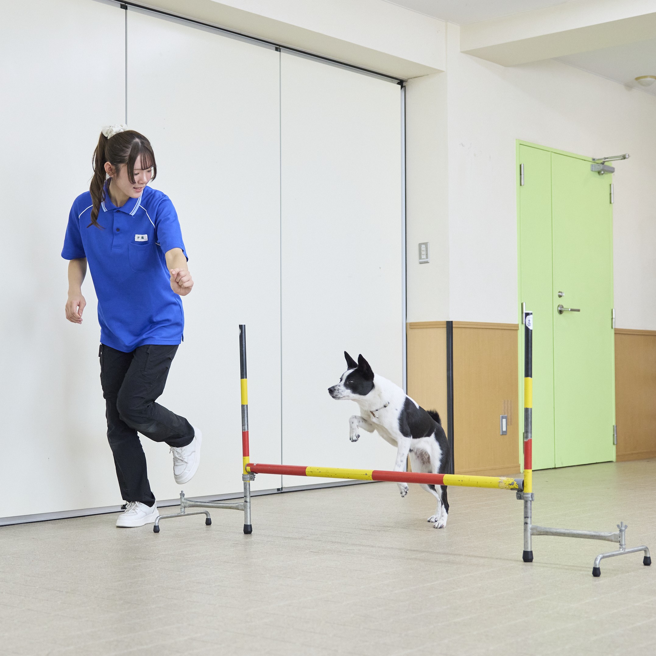 大宮国際動物専門学校のオープンキャンパス