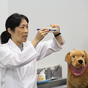 ヤマザキ動物看護大学のオープンキャンパス