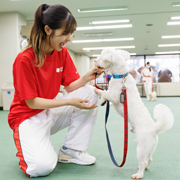 横浜動物専門学校のオープンキャンパス