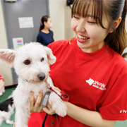 横浜動物専門学校のオープンキャンパス