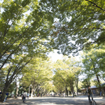 東海大学のcampusgallery
