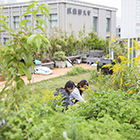 武蔵野大学のcampusgallery