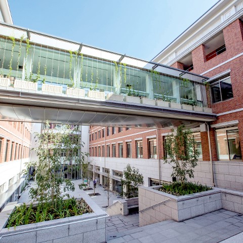 同志社大学3