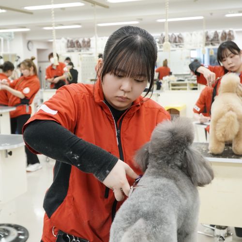 広島情報ビジネス専門学校3