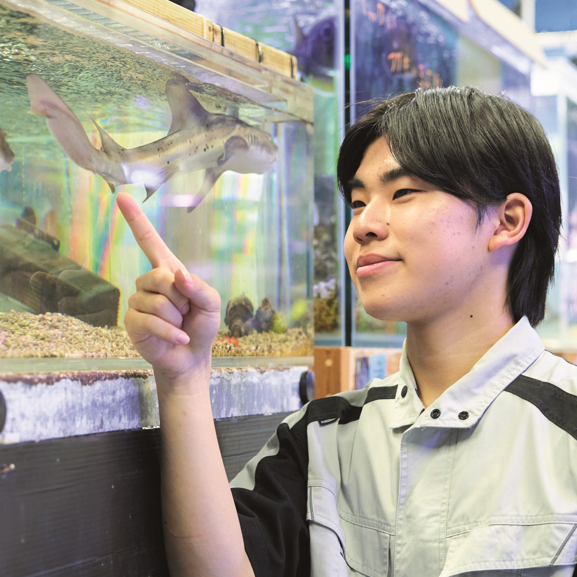 大宮国際動物専門学校2