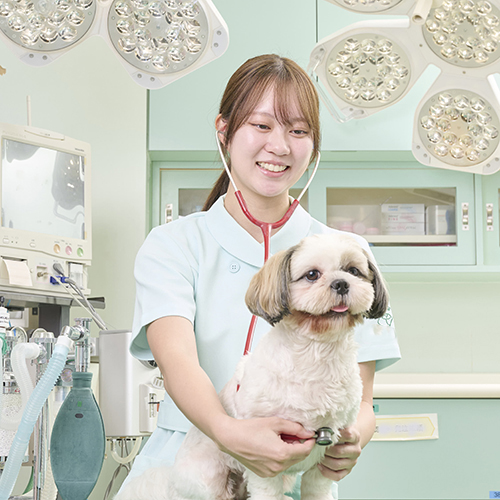 中央動物専門学校3