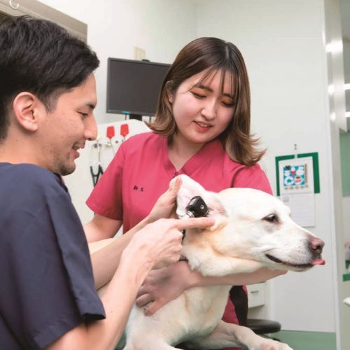 ＴＣＡ東京ＥＣＯ動物海洋専門学校