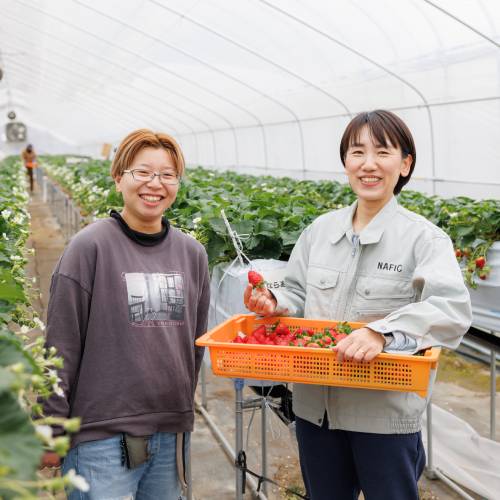 奈良県立なら食と農の魅力創造国際大学校2