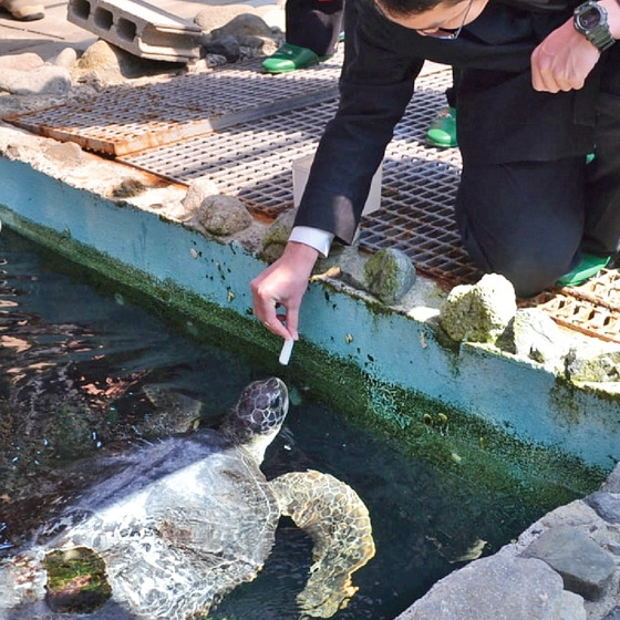 「未来」に「つながる」
RiSENのオープンキャンパス
【アクアリウム学科】／岡山理科大学専門学校