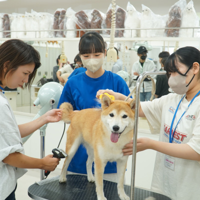 広島情報ビジネス専門学校
