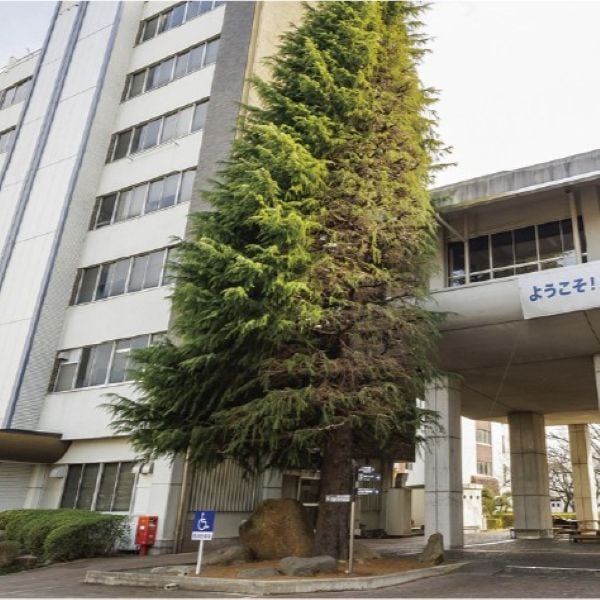 足利大学