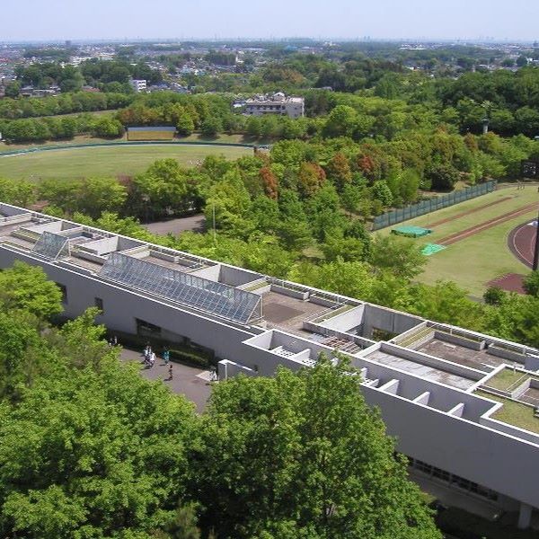 早稲田大学
