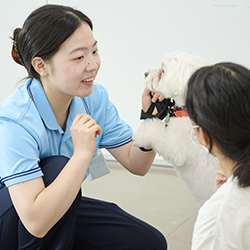 中央動物専門学校