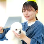 高崎動物専門学校