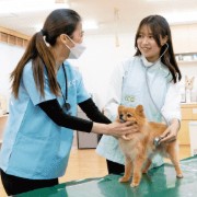 福岡ＥＣＯ動物海洋専門学校