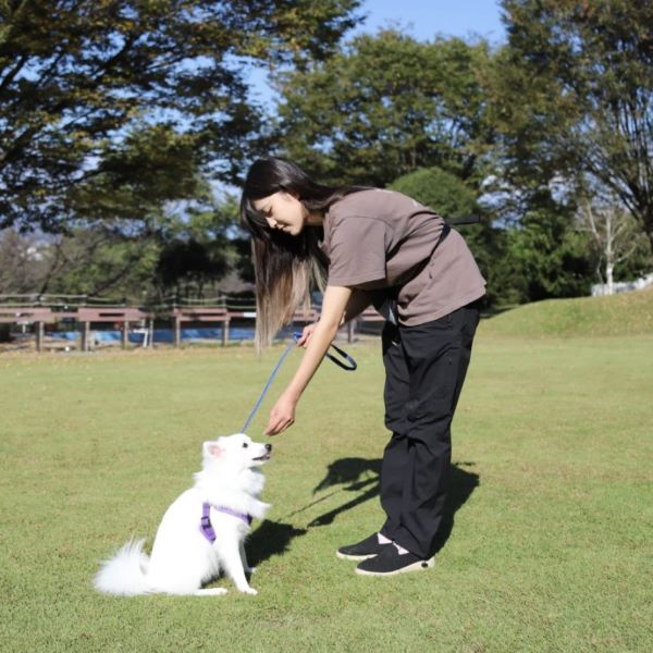 群馬動物専門学校