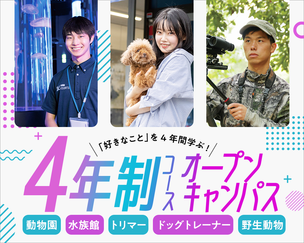 ４年制コースオープンキャンパス（4年制コースの説明会）／大阪ＥＣＯ動物海洋専門学校