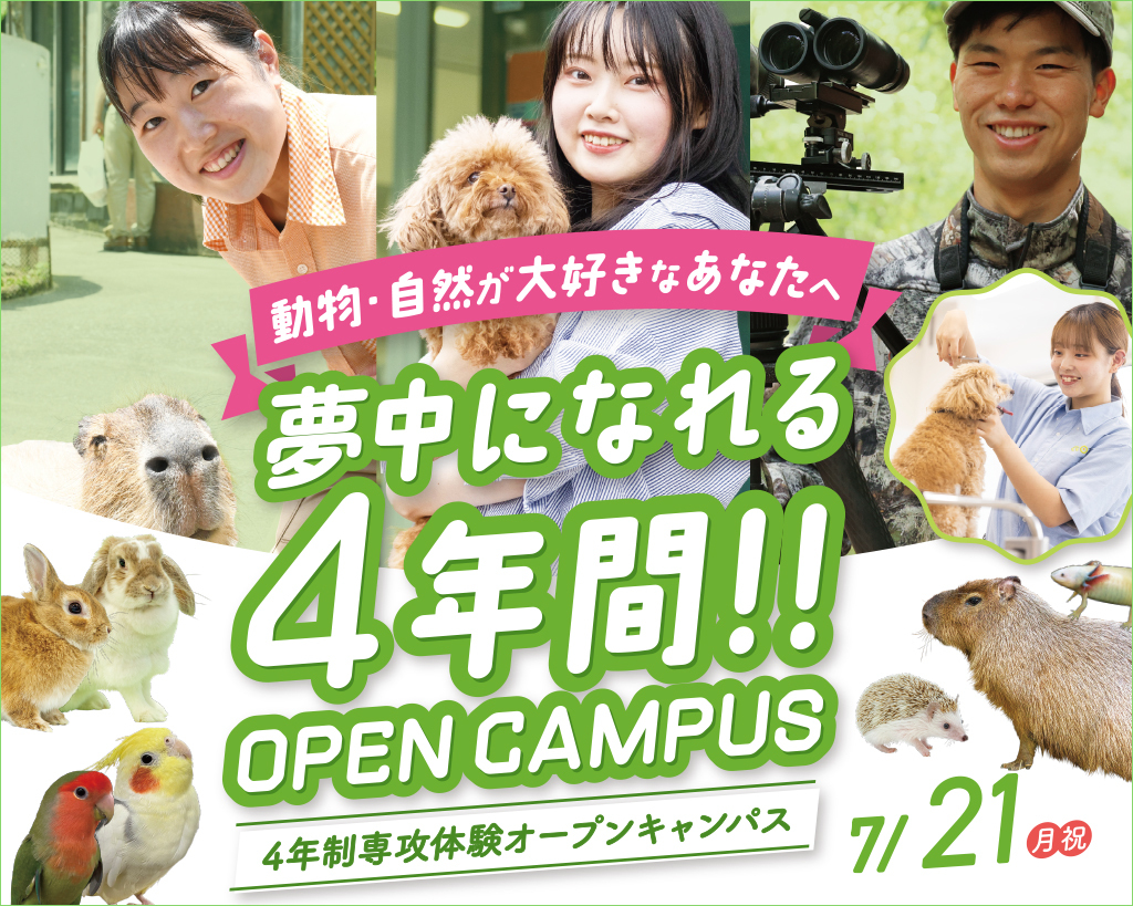 夢中になれる4年間!!4年制専攻体験オープンキャンパス／大阪ＥＣＯ動物海洋専門学校