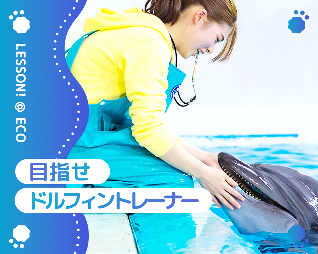 目指せドルフィントレーナー／大阪ＥＣＯ動物海洋専門学校
