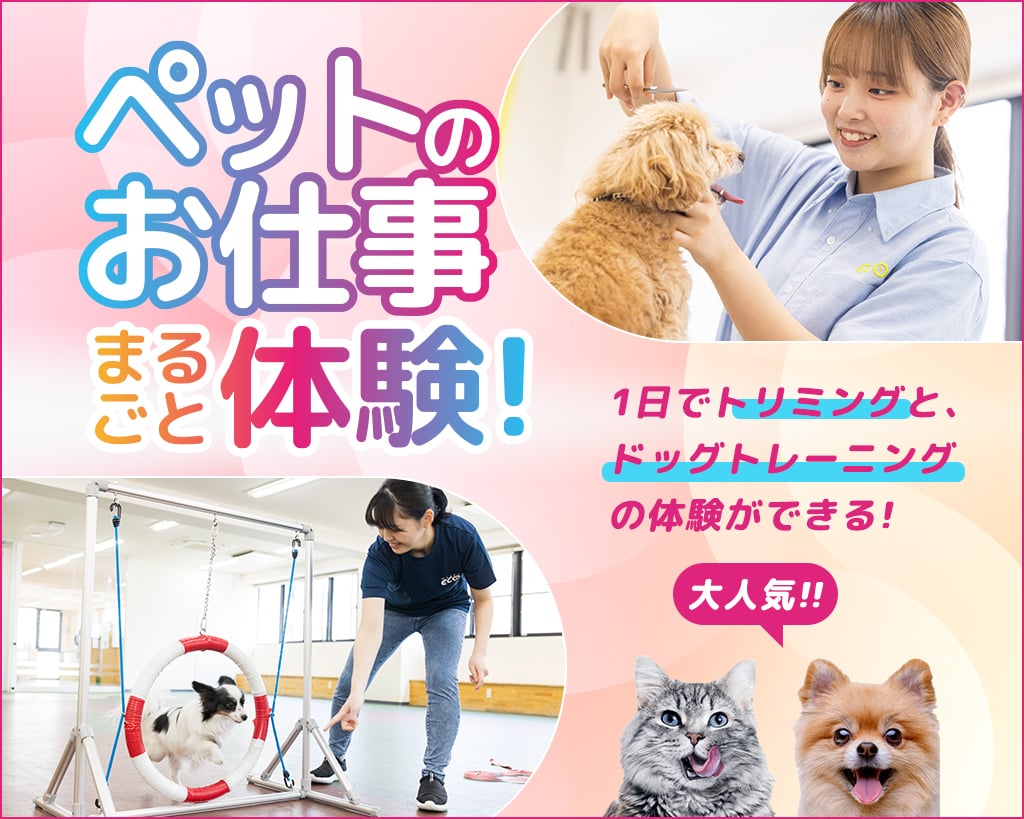 大阪ＥＣＯ動物海洋専門学校