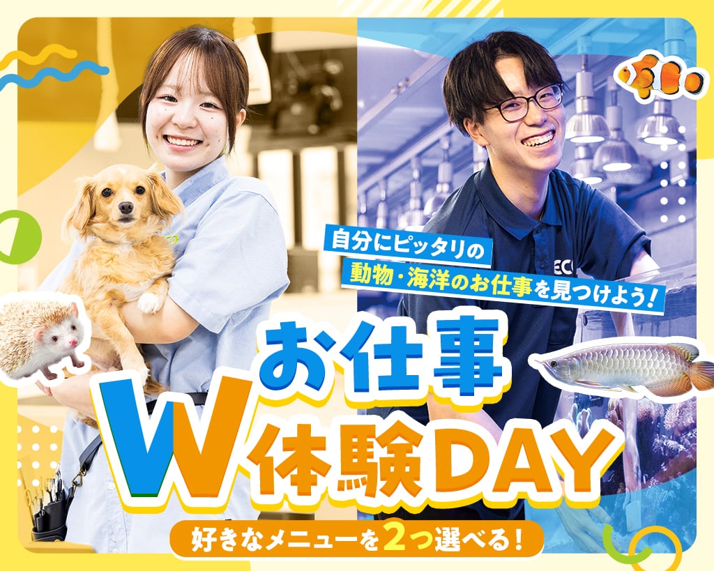 大阪ＥＣＯ動物海洋専門学校
