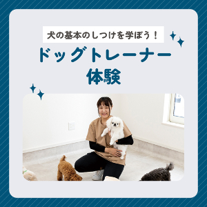 仙台ＥＣＯ動物海洋専門学校