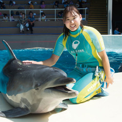 名古屋ＥＣＯ動物海洋専門学校