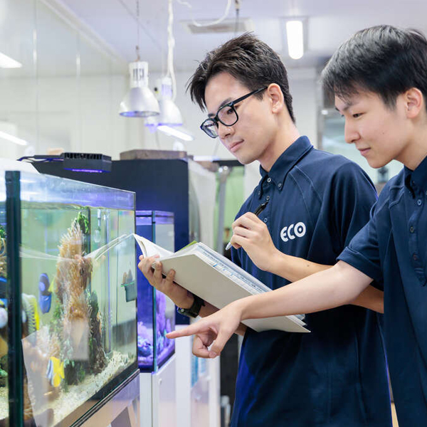 体験メニュー
（水族館・アクアリスト）／名古屋ＥＣＯ動物海洋専門学校