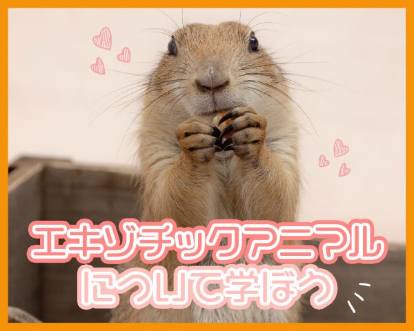 エキゾチックアニマルについて学ぼう／ＴＣＡ東京ＥＣＯ動物海洋専門学校