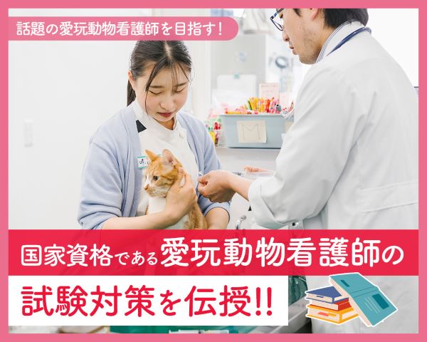 国家資格である愛玩動物看護師の試験対策を伝授！！／ＴＣＡ東京ＥＣＯ動物海洋専門学校