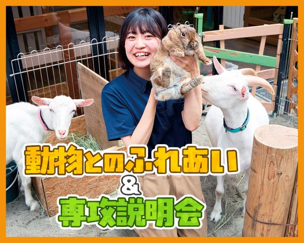 動物とのふれあい＆専攻説明会／ＴＣＡ東京ＥＣＯ動物海洋専門学校