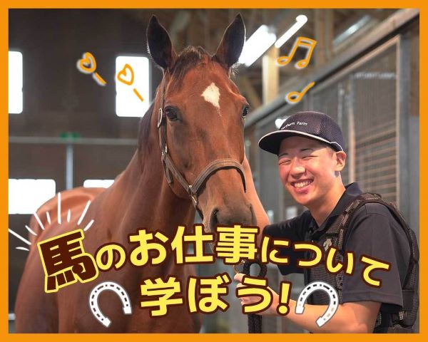 馬のお仕事について学ぼう！／ＴＣＡ東京ＥＣＯ動物海洋専門学校