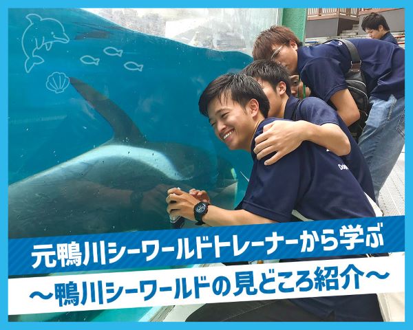 元鴨川シーワールドトレーナーから学ぶ　～鴨川シーワールドの見どころ紹介～／ＴＣＡ東京ＥＣＯ動物海洋専門学校