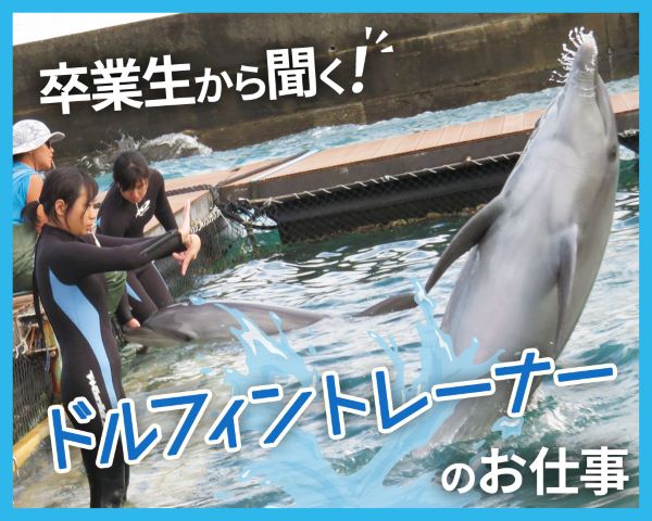 卒業生から聞く！ドルフィントレーナーのお仕事／ＴＣＡ東京ＥＣＯ動物海洋専門学校